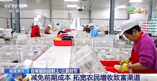 机械 科技 稻鸭共养 移动菇房 智慧 引擎激活乡村振兴新动能