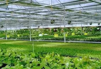 农业物联网新技术的出现和完善,将重写中国现代农业的新格局