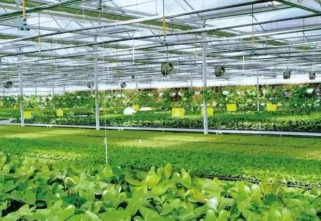 数字农业奖补3000万 农业农村建设项目中的巨大商机与容业科技的发展机遇