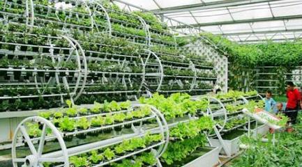 下好京津冀现代农业协同这盘棋——容业科技的创新实践与展望