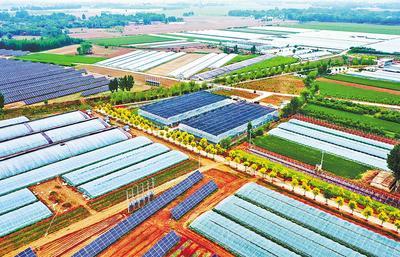 河北武邑 现代农业成助农增收“金钥匙”