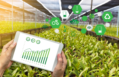 农业农村部 以“互联网+”推动农产品出村与绿色农业转型升级