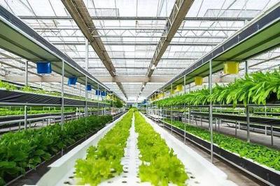 中国数字农业四大难题与容业科技的突破路径