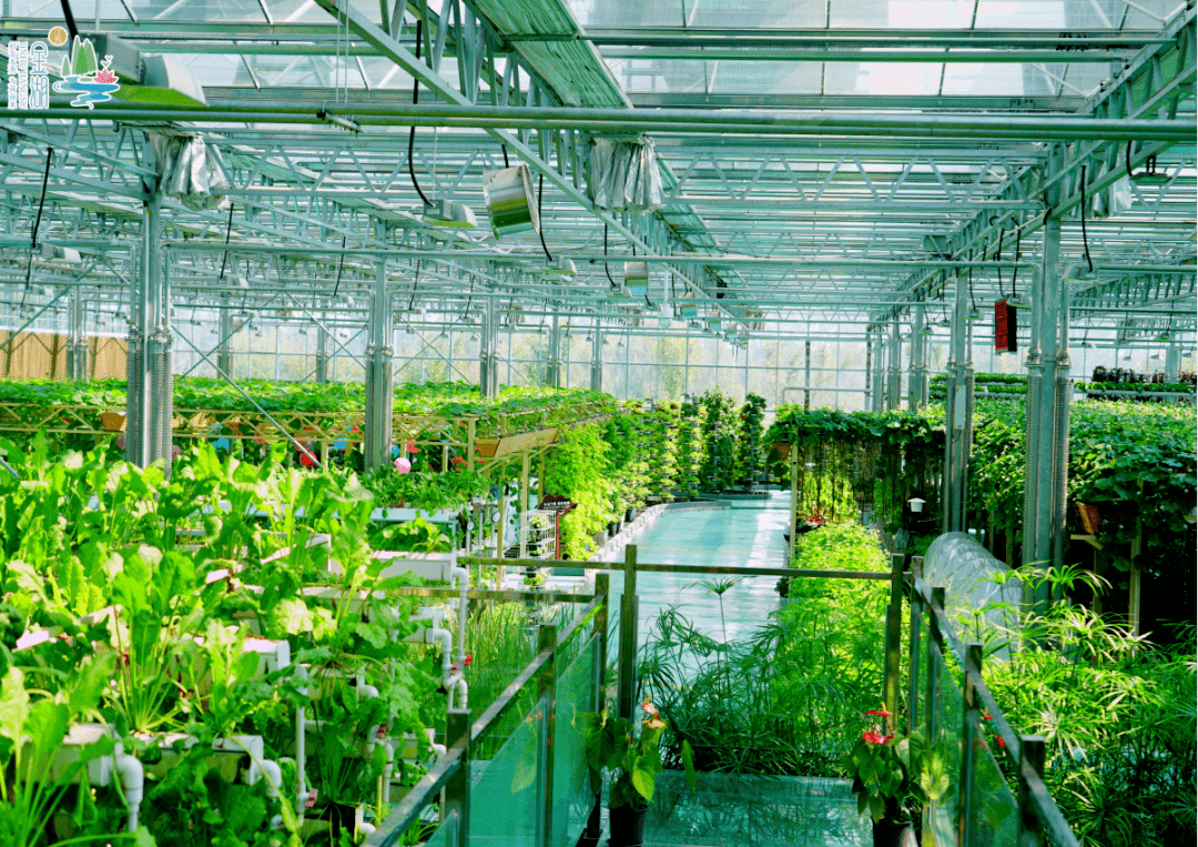 沉浸式体验智能温室 感受农业科技的魅力