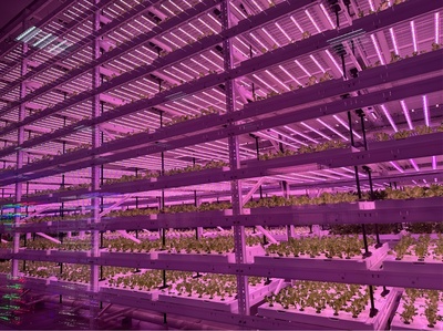 农业装上“智慧脑”，杨凌亮出“科技范”——高质量发展调研行·陕西站 容业科技